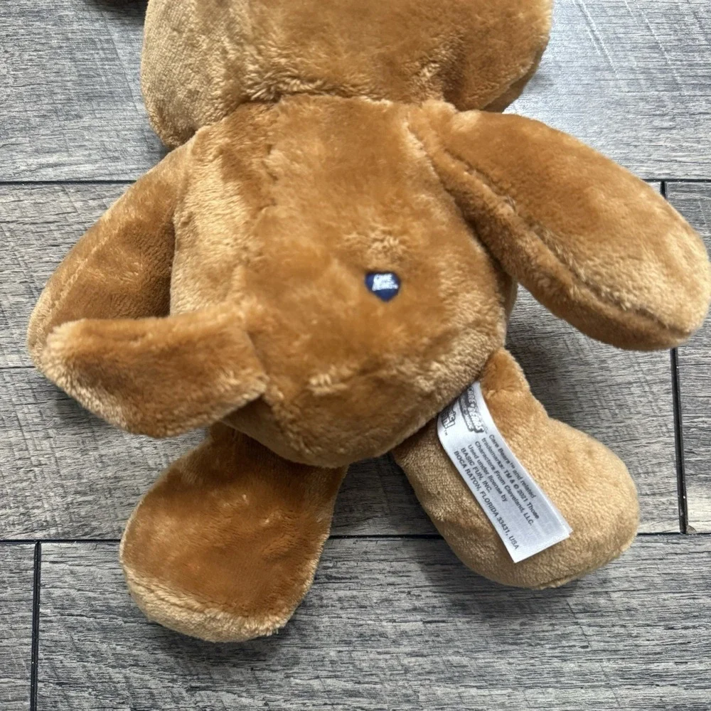 Care Bears Hoodie Friends Grumpy Bear Plush 2021 Puppy Dog Suit Rain Cloud‎ 12